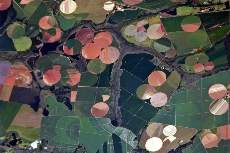 Illustration for article titled Satellite Images of Agricultural Fields Make the Earth Look 8-Bit